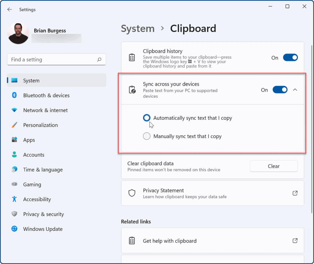 Windows 11 Clipboard History Clear